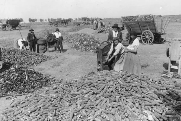 Minciuna „România – grânarul Europei”