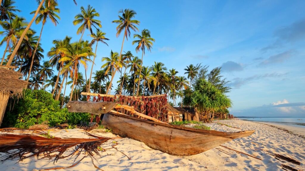 zboruri last minute către Zanzibar