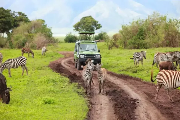 Top 10 Destinații de Safari din Africa