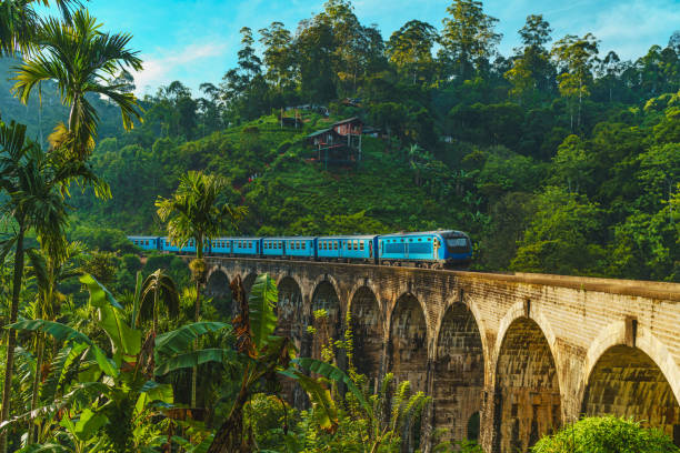 Vacanta_sri Lanka