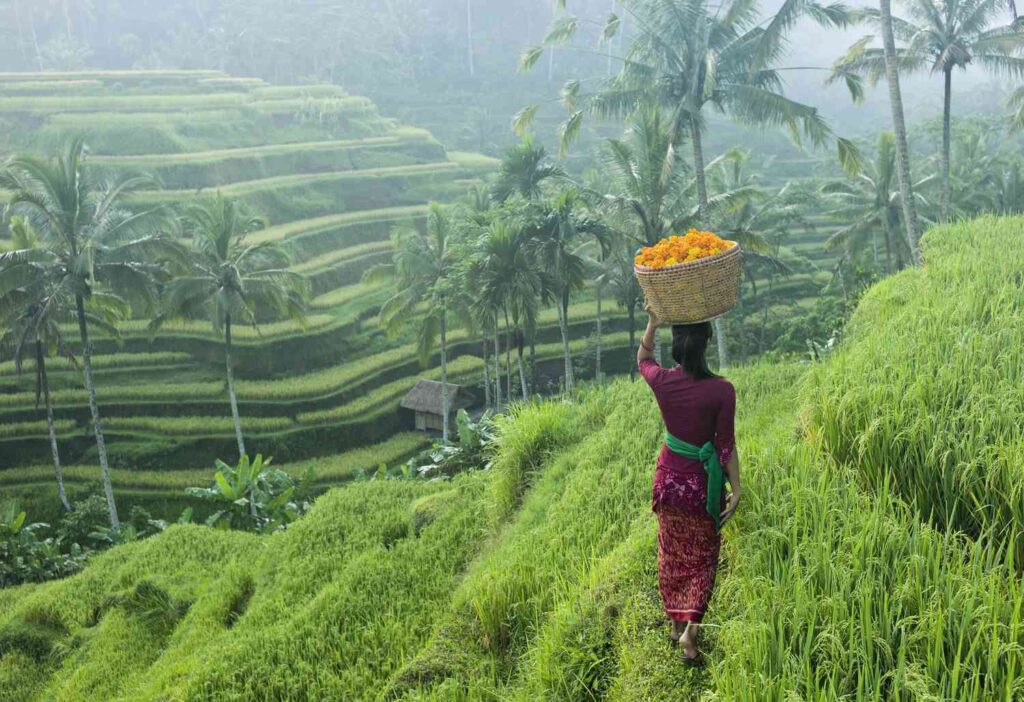 Cand sa mergi in Bali