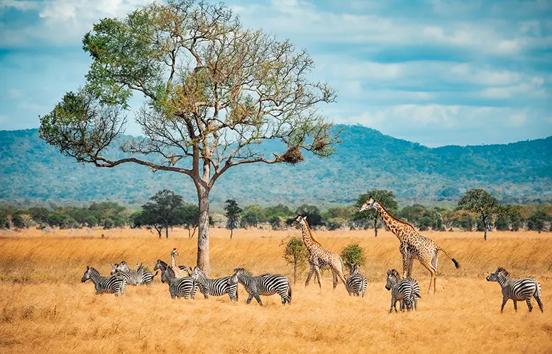 Vacanta_Africa