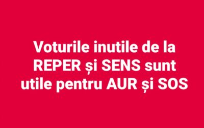 alegeri_parlamentare_2024