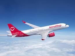 Zboruri directe spre Istanbul cu Animawings