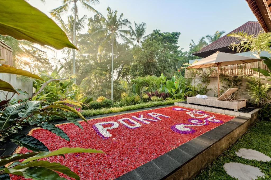 cele mai bune cazari low cost in Bali