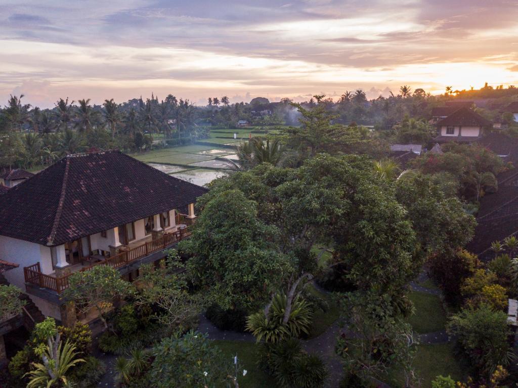 Cazari in Bali